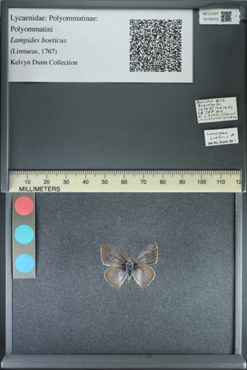 Media type: image;   Entomology 192312